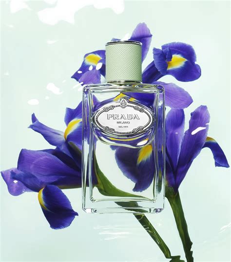 iris prada equivalenza|Profumo Equivalente Infusion D' Iris Prada .